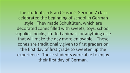 Description of the German project